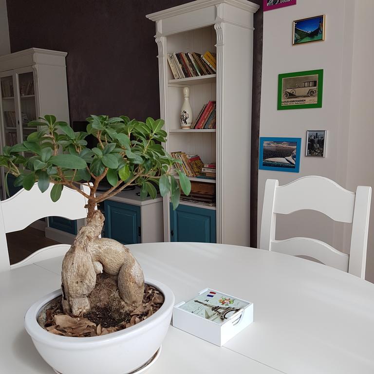 Classic Apartment Brasov Bagian luar foto